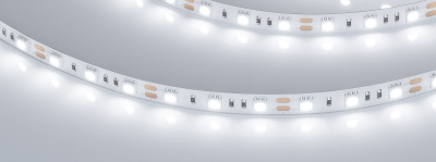 4c7547cb154bb4e4e48757dae40396cc