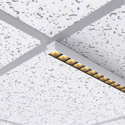 5056bce1649a42041e7467d59a6db690